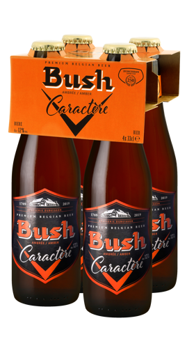 Afbeeldingen van BUSH BEER CARACTERE 4X33CL