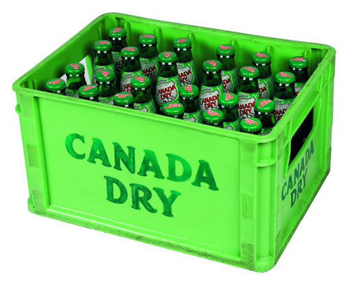 Afbeeldingen van CANADA DRY 24X20CL