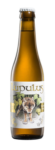 Afbeeldingen van LUPULUS BLOND 24X33CL