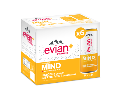 Afbeeldingen van EVIAN + LIMOEN/GEMBER BLIK 6X33CL