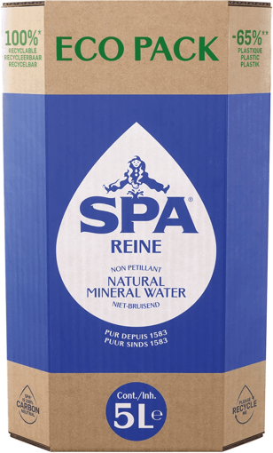 Spa reine eco pack 5l